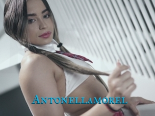 Antonellamorel