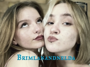 Brimlanandnelda