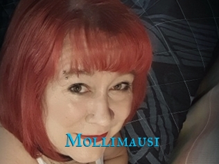 Mollimausi