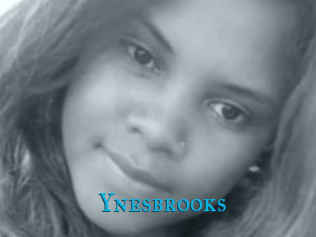 Ynesbrooks